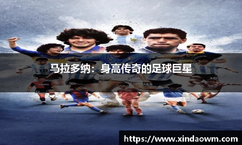 DB电竞官方网站