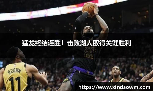 DB电竞官网